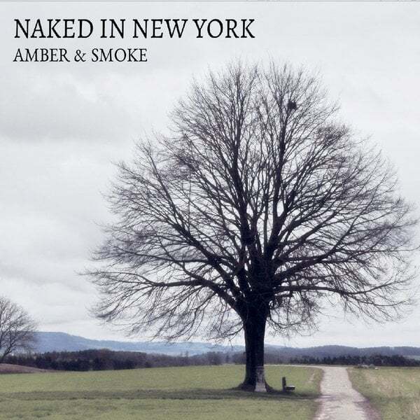 Cover art for Naked in New York